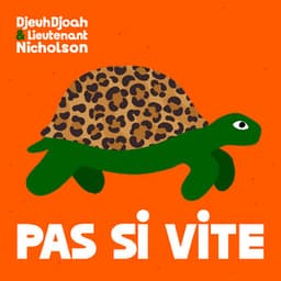 Pas si vite