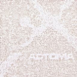 Actoma