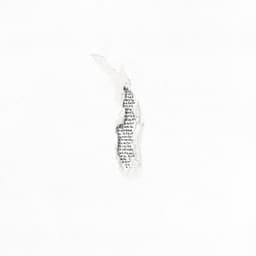 Les gens passent, le temps reste