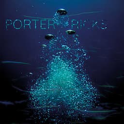 Porter Ricks