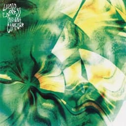 Instant Comfort - Lucid Express