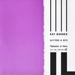 Splashes of Disco - Ray Borneo